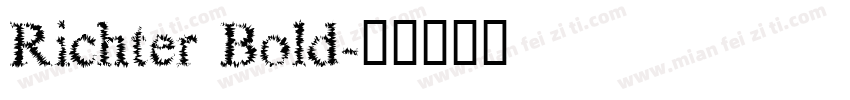 Richter Bold字体转换